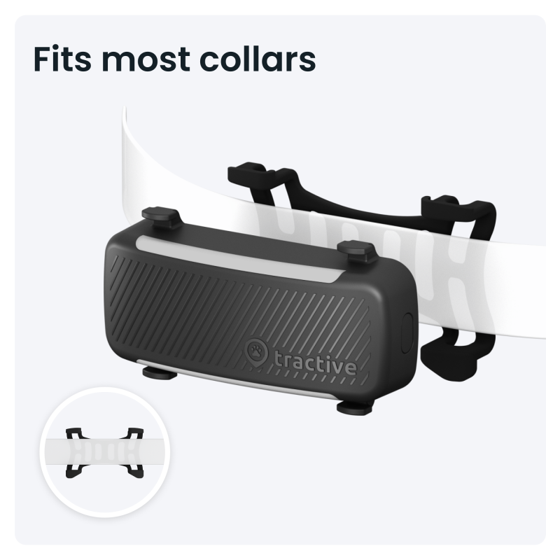 Namestite jo lahko na ovratnico do širine 3 cm.