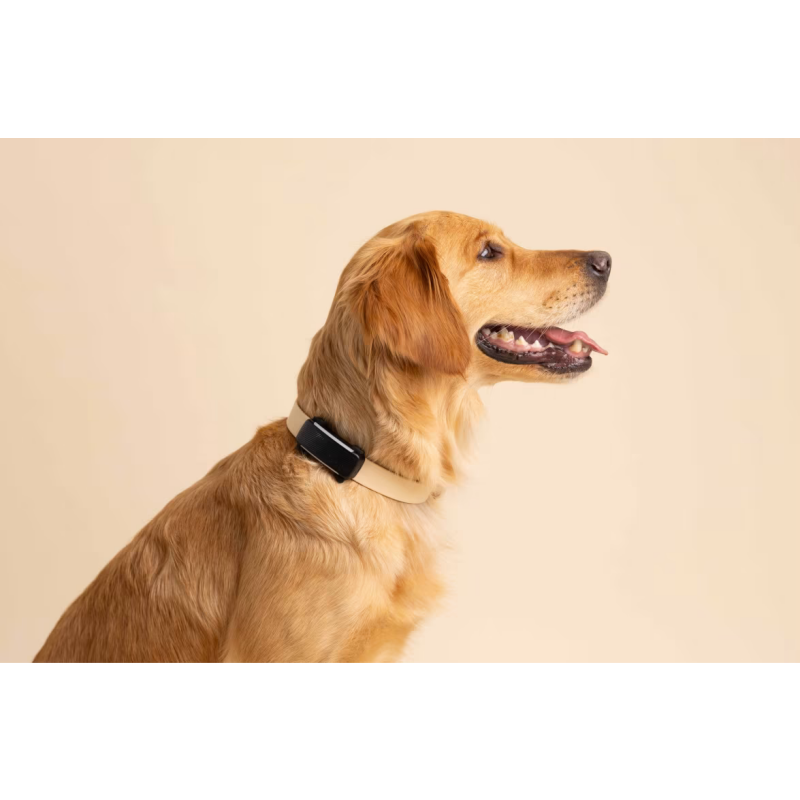 TRACTIVE GPS sledilnik za pse